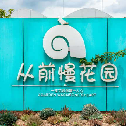 0133-从前慢锦鲤东云盲盒-从前慢花园东云系多肉植物