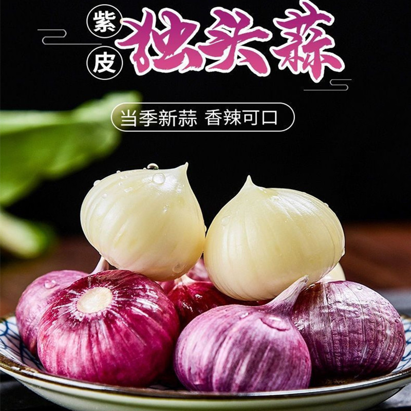 云南大理新鲜紫皮珍珠独头蒜