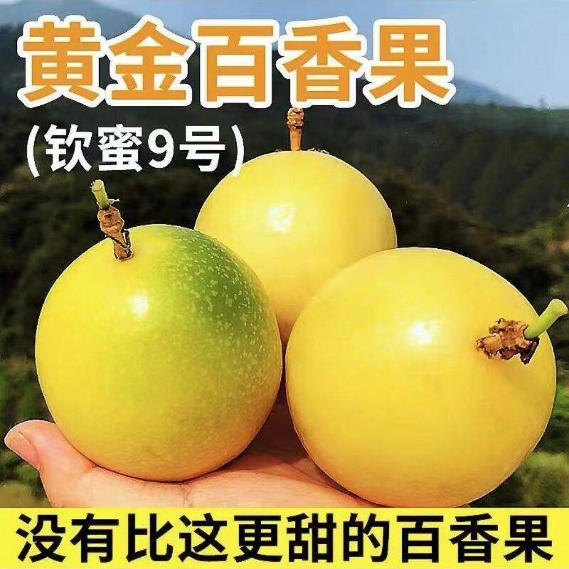钦蜜9号黄金百香果5斤包邮