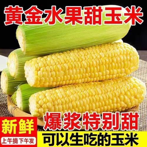 云南现摘甜水果玉米包邮