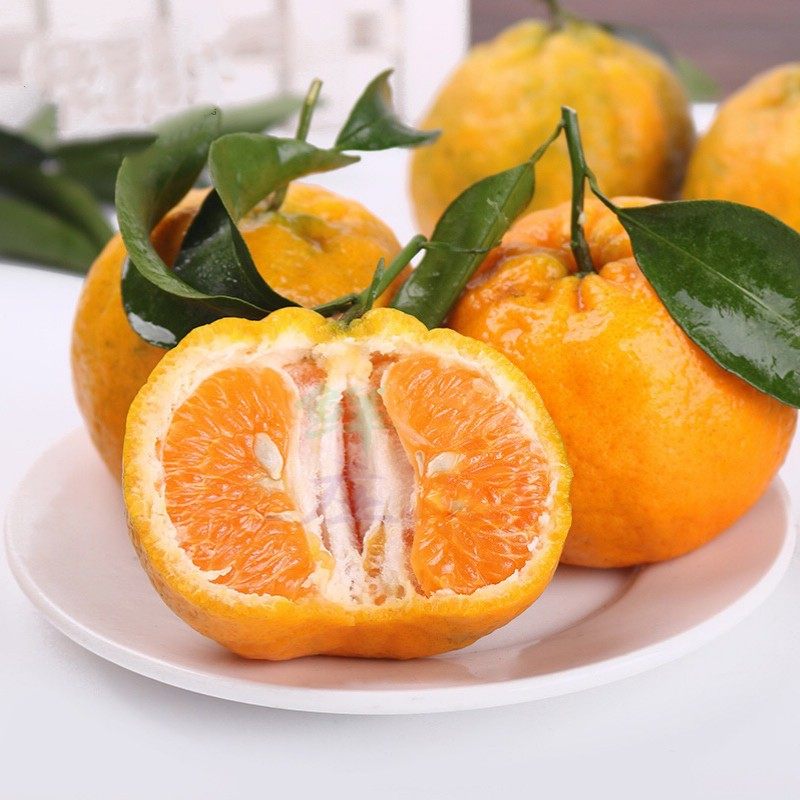 新鲜黄皮酸橘子5斤 老品种有籽柑橘手剥孕妇酸水果桔现摘现发包邮,水产肉类/新鲜蔬果/熟食,桔子,淘宝优惠券,粉丝福利购,淘宝优惠卷