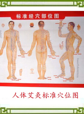 艾灸经络穴位图 人体艾灸图 经络图 穴位图 艾灸养生图 艾灸图纸