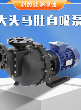 卧式耐腐蚀大头马肚泵PVDF塑料自吸化工泵耐酸碱PP电镀水冷脱硫泵