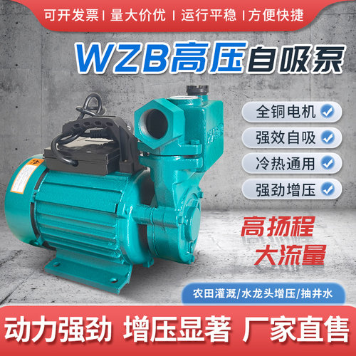 自吸泵铸铁电动铜线高扬程泵