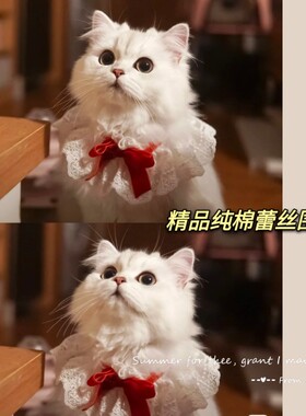 宠物狗狗猫咪蝴蝶结口水巾围脖围嘴嘴小中大型犬可爱铃铛领结饰品