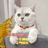 Оригинальный защитный амулет, браслет из красной нити, чокер, шарф, колокольчик, аксессуар, ожерелье, домашний питомец, кот, на удачу