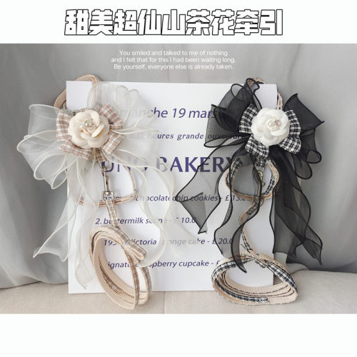 AK蛋蛋防挣脱超仙遛猫牵引绳