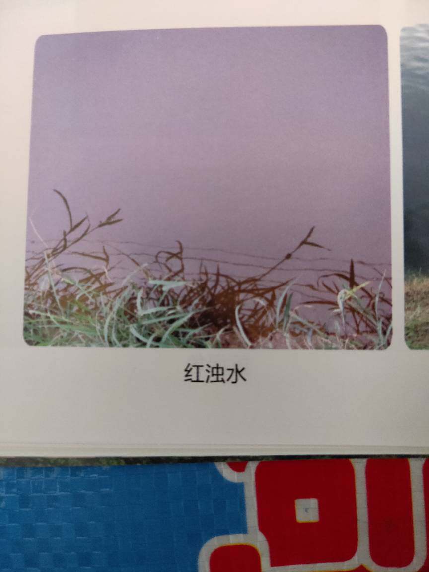 红水处理一泼灵水产养殖水质处理剂去除水中裸藻甲藻红黑水藻分解