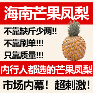 【海南芒果凤梨】台农23号芒果香甜小凤梨树上熟新鲜金钻凤梨顺丰