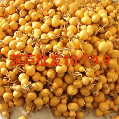 天然文玩葫芦福禄手把件手捻小葫芦精品带龙头绕指柔把玩包浆摆件
