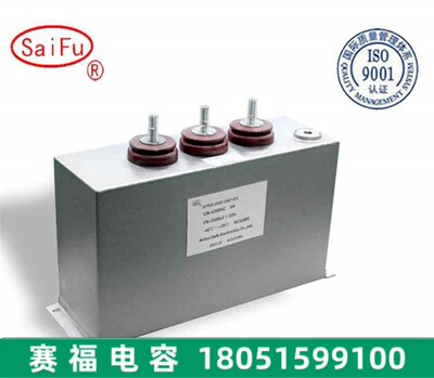 脉冲储能自愈式充退磁机直流滤波高压电容赛福SaiFu 1600V 1000UF