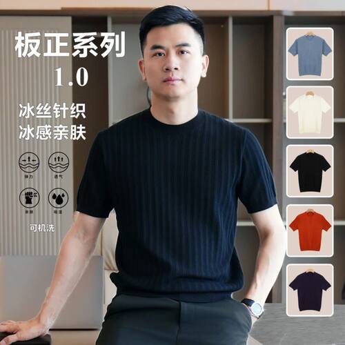 人夫感穿搭高级感痞帅肌理竖纹纯色圆领短袖T恤衫男夏季透气针织