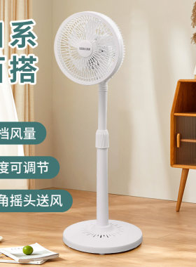 强力摇头电风扇可伸缩调节