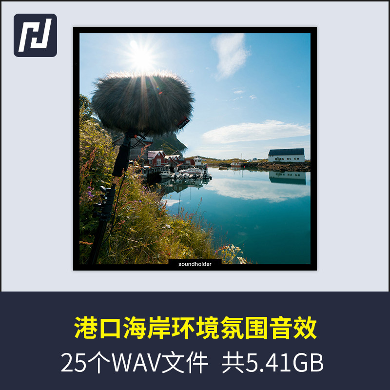 海边的音效素材，包含海鸥海鸟海浪波涛汹涌的海岸港口环境的声音