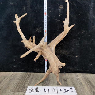 山西太行崖柏原木雕刻摆件把件毛料根雕工艺品天然树根