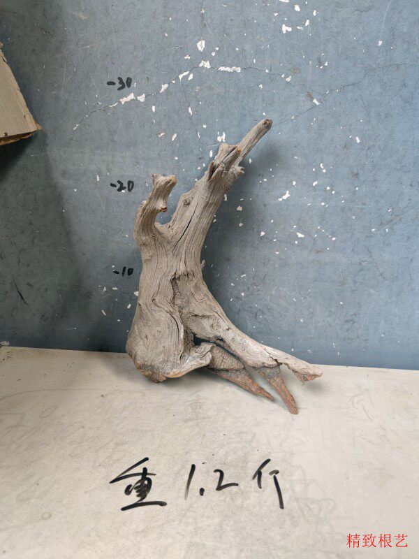 SHANXI TAIHANG THUJA 통나무 조각 장식품 양모 뿌리 조각 수공예품 천연 나무 뿌리
