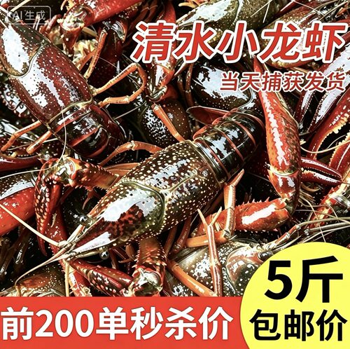 清水鲜活小龙虾产地直发