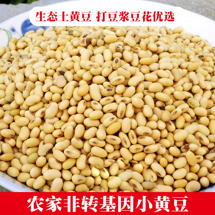 农家土货:新豆椭圆形笨黄豆非转基因土黄豆老品种大豆子9斤包邮