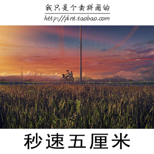 木质拼图300/500/1000片成人减压儿童益智玩具动漫秒速五厘米