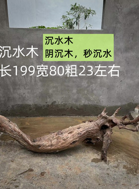 老木头根雕摆件自然形态朽木侘寂风山间老木沉水阴沉木类复古