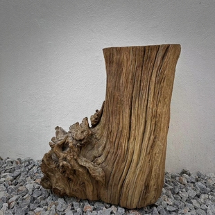 风化木枯木造型老朽木摆件花瓶花盆底座侘寂风茶空间装饰老树桩