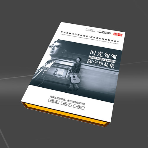 天艺唱片正版车载U盘高清无损WAV黄金母盘高保真陈宁时光匆匆专辑