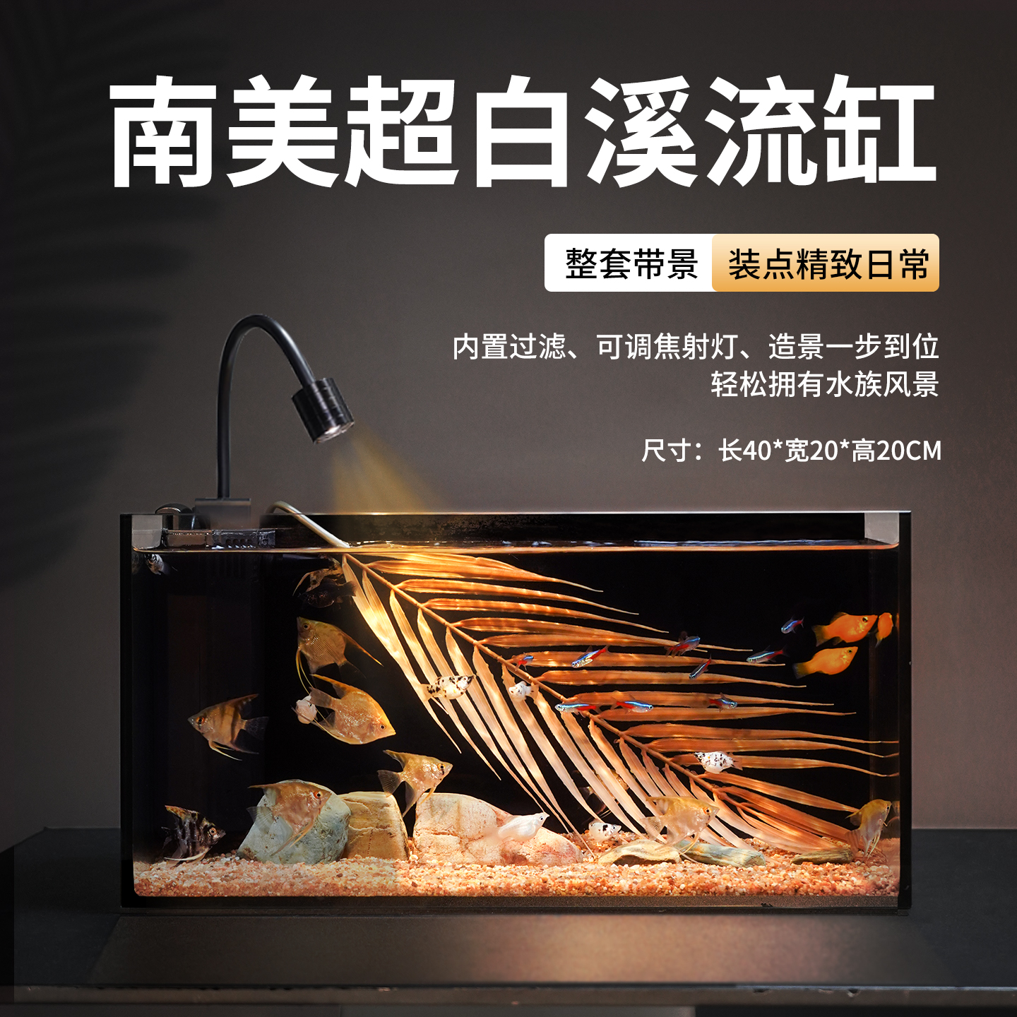 全套带景搭配南美溪流缸内滤桌面缸客厅办公室家用鱼缸自循环过滤