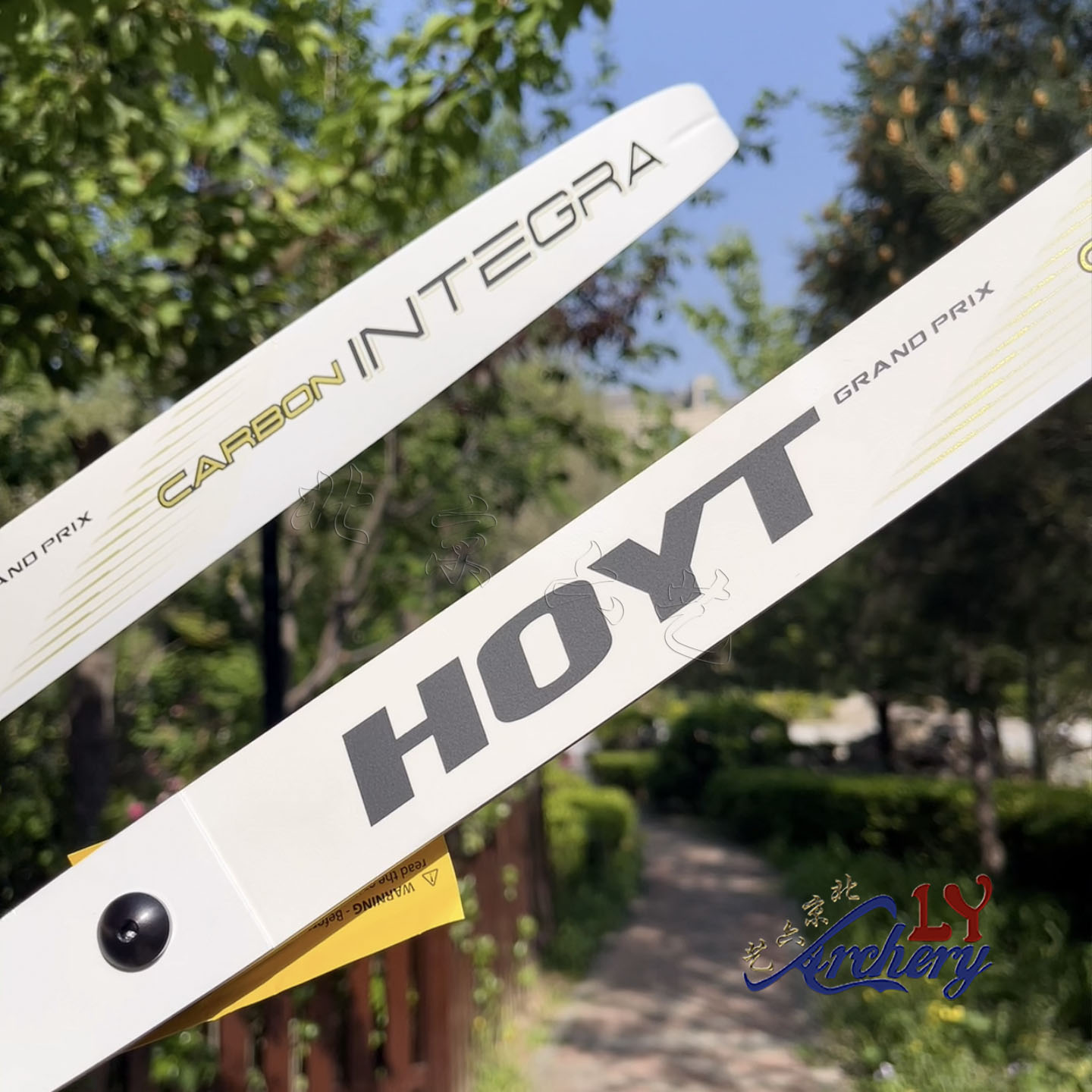 新款HOYT弓片霍伊特弓片通用口INTEGRA英特格拉碳素竞技反曲弓片