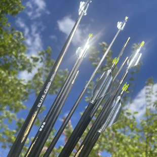 国产X10箭潘神碳箭梭形碳铝箭CA320碳包铝碳箭复合反曲弓箭比赛箭