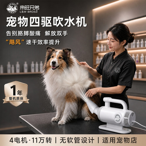 来旺兄弟四驱宠物吹水机
