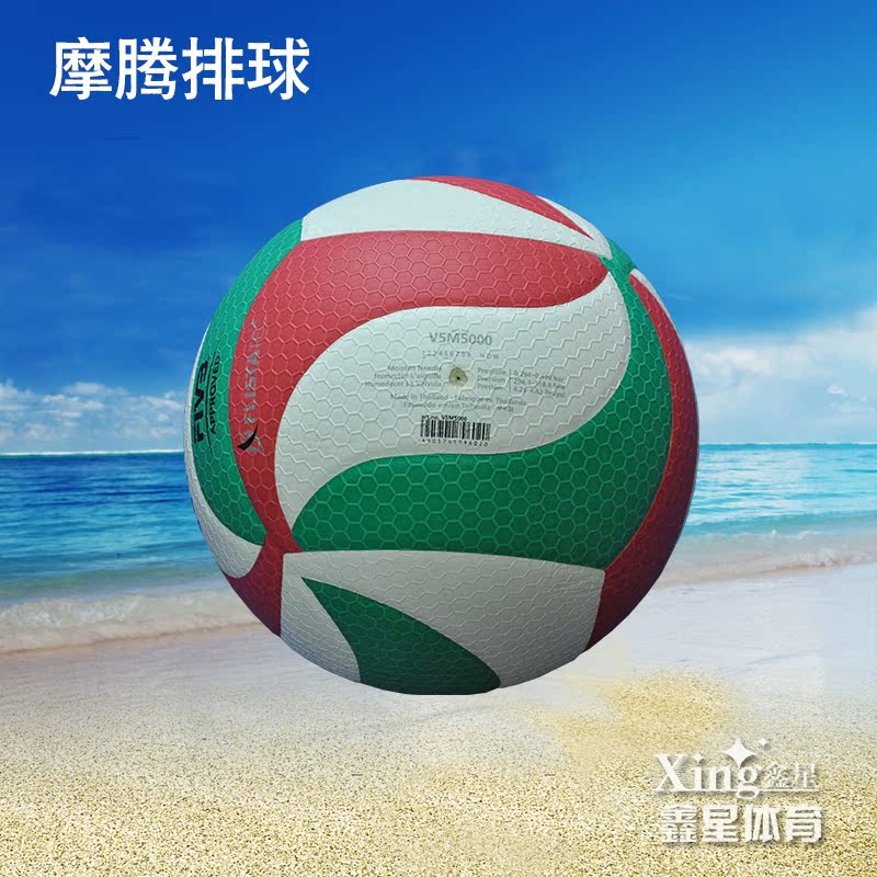 Ballon de volley - Ref 2014975 Image 5