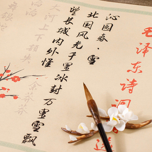 【毛泽东诗词精选21首】行草毛笔临摹字帖初学者成人入门书法套装