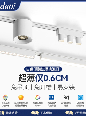 麦丹妮家用免吊顶明装磁吸轨道灯客厅无主灯白色射灯组合中山灯具