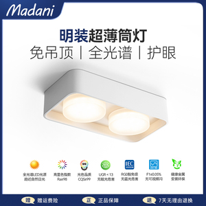 麦丹妮家用客厅无主灯全光谱明装双头筒灯斗胆灯防眩护眼米家智能