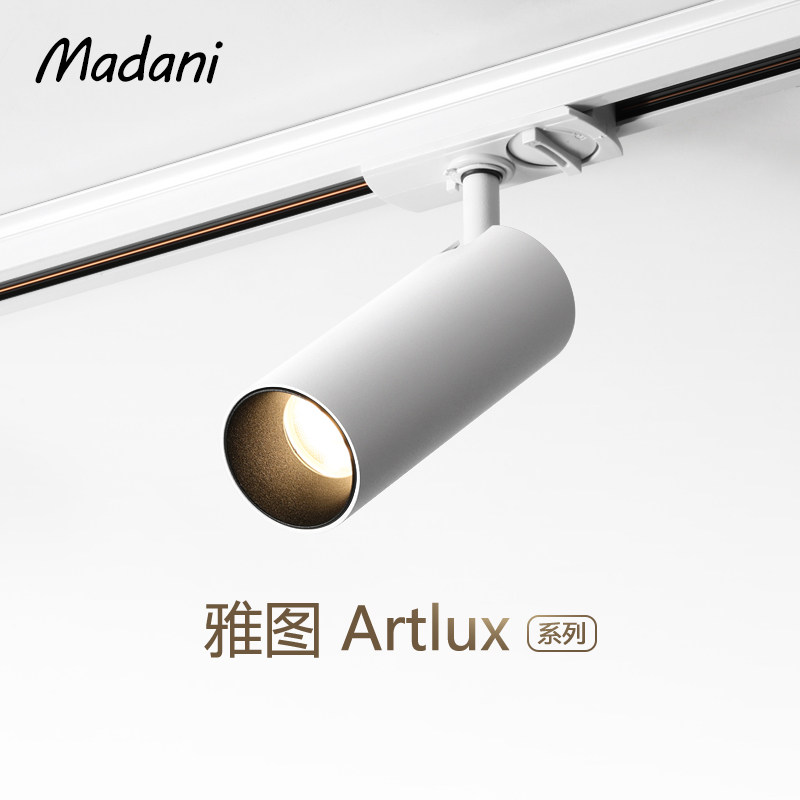 麦丹妮客厅背景墙防眩明装斗胆灯照画全光谱轨道射灯三线滑轨护眼