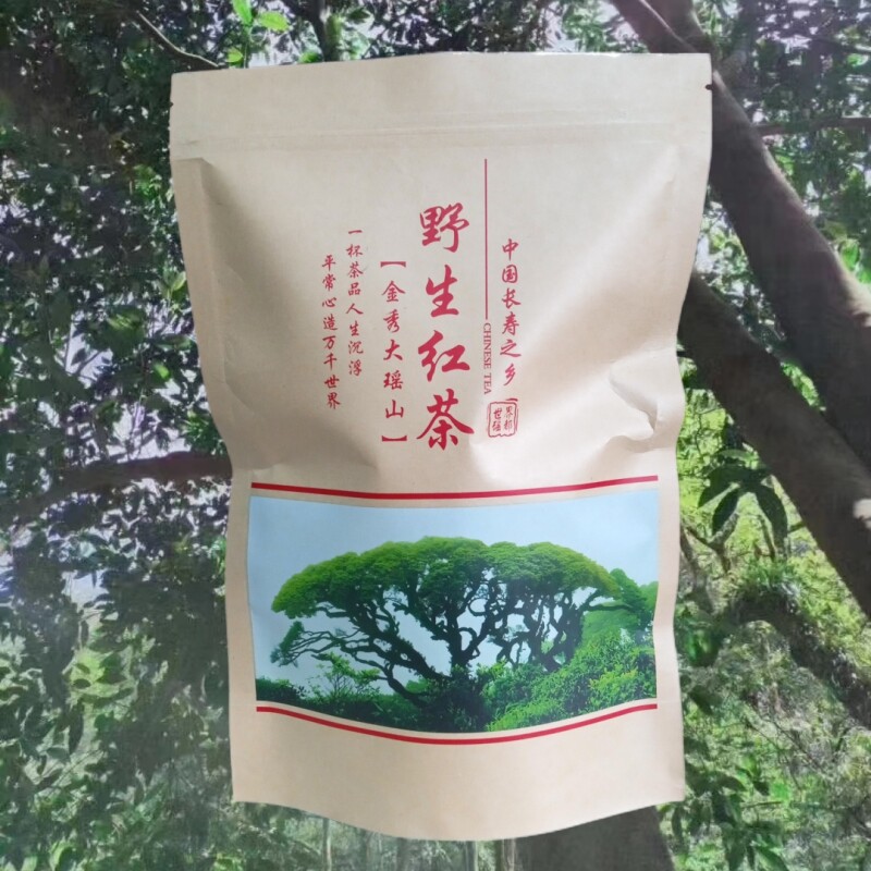 广西金秀大瑶山古树野生红茶初级正山小种浓香型250g奶茶专用散装