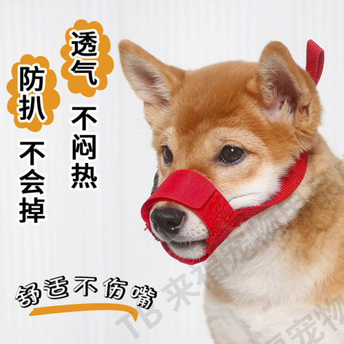 狗狗嘴套防咬防乱叫乱吃嘴罩中大型柯基柴犬防乱舔可喝水宠物口罩