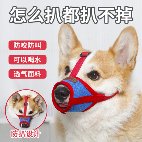 宠物狗狗嘴套防咬乱叫吃口罩小型犬柯基柴犬泰迪狗套狗狗嘴罩用品