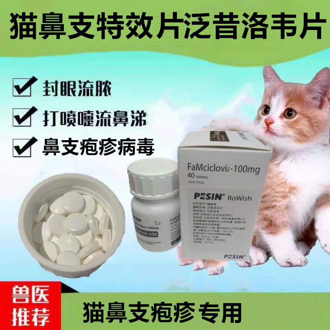 宠物猫鼻支泛昔洛韦片营养补充猫疱疹病毒专用猫感冒流鼻涕封眼