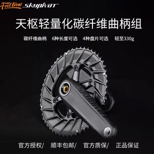 天枢 Skypivot 公路车功率计 Sigeti 思各异Ax碳纤维超轻曲柄
