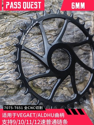 PASSQUEST直装正负齿单盘