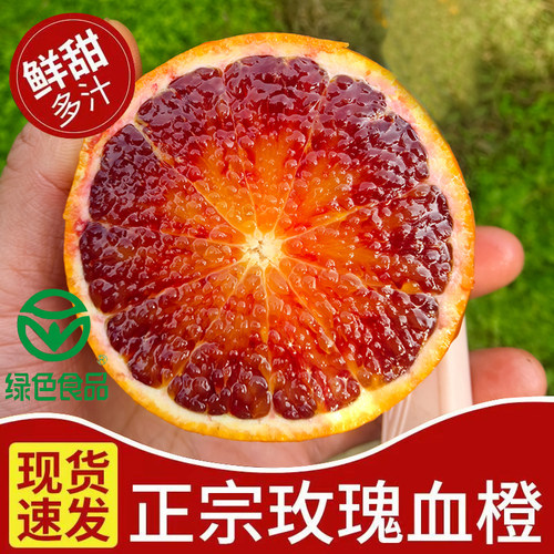 【绿色食品认证】四川泸州老树红血橙玫瑰橙新鲜水果塔罗科血橙子