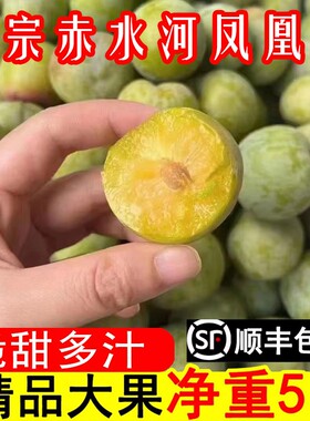 顺丰四川赤水河凤凰李江安李新鲜水果脱骨李子空心青脆李非蜂糖李