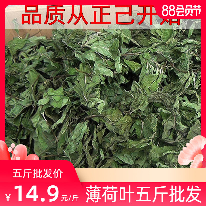 薄荷叶中药材500g包邮