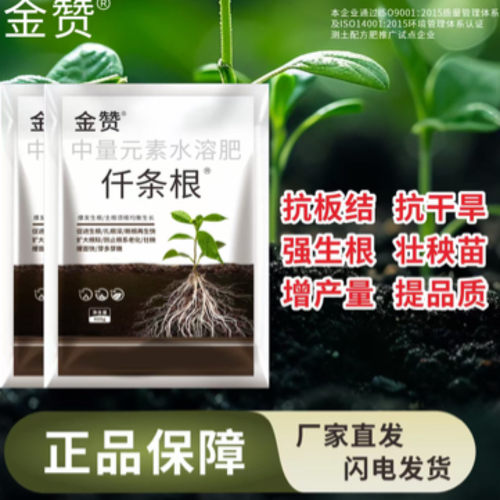 促进生根扎根深壮秧苗