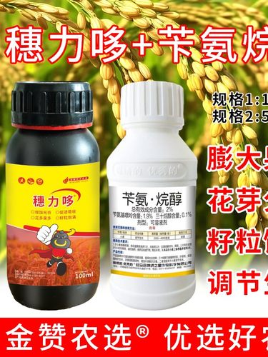 苄氨烷醇促进早熟灌浆籽粒膨大