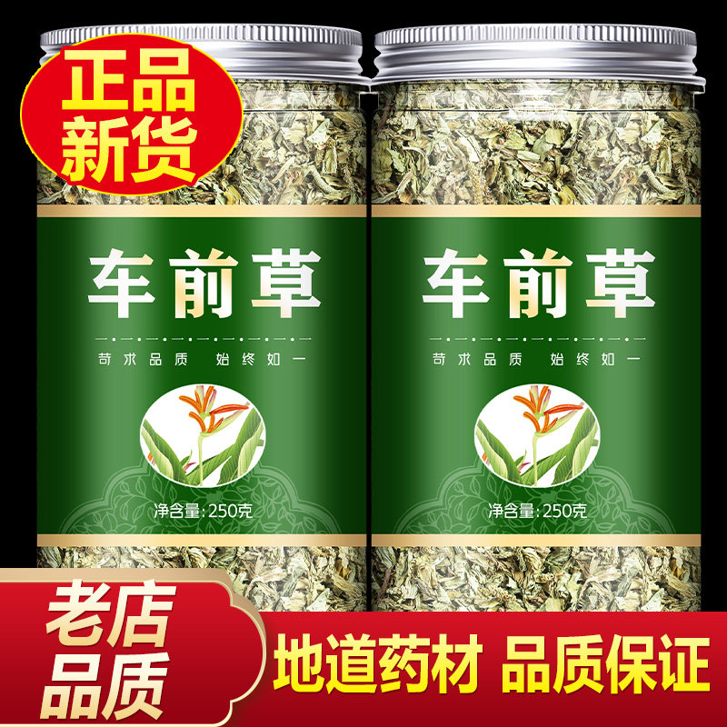 车前草中药材500g袋泡茶新鲜干货野生车钱草泡水喝另车前子金钱草