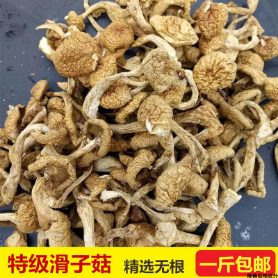 东北特产滑子菇干货500g包邮滑子蘑小鸡炖蘑菇小黄蘑野生蘑菇