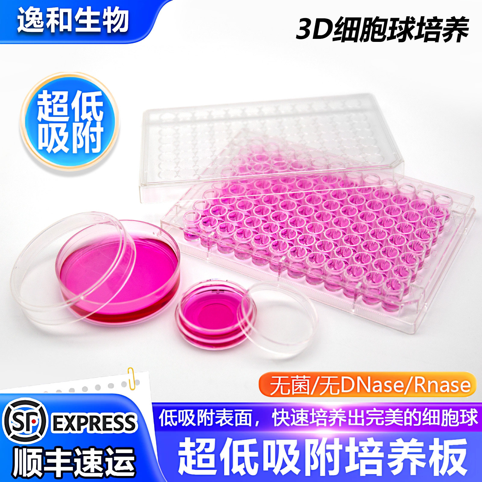 逸和生物超低吸附细胞培养板图片