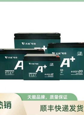 天能12V音响抽水泵电车铅酸电池
